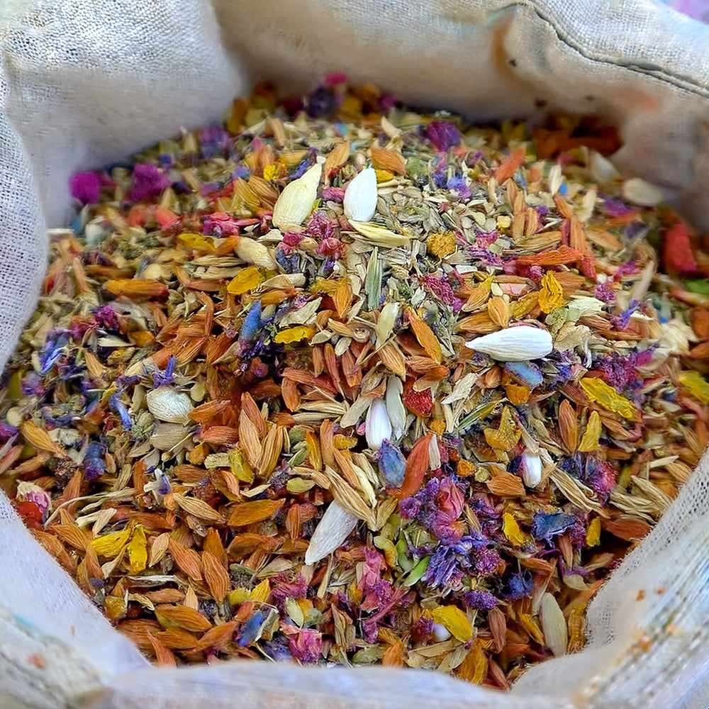 🐱🐻❄️🇺🇸Nekoryn® Charming Blossom Seeds🔥🔥
