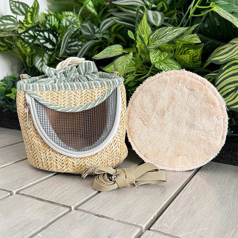🦜green+cushion
