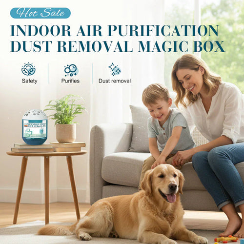 🖤Black Friday Sale:40% OFF🖤Indoor Air Purification Dust Removal Magic Box🏠🌿