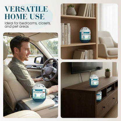 🖤Black Friday Sale:40% OFF🖤Indoor Air Purification Dust Removal Magic Box🏠🌿